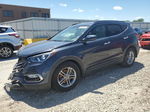 2018 Hyundai Santa Fe Sport  Blue vin: 5XYZUDLB0JG528620