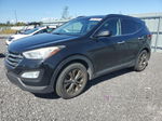 2013 Hyundai Santa Fe Sport  Black vin: 5XYZUDLB1DG069828