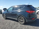 2013 Hyundai Santa Fe Sport  Black vin: 5XYZUDLB1DG069828