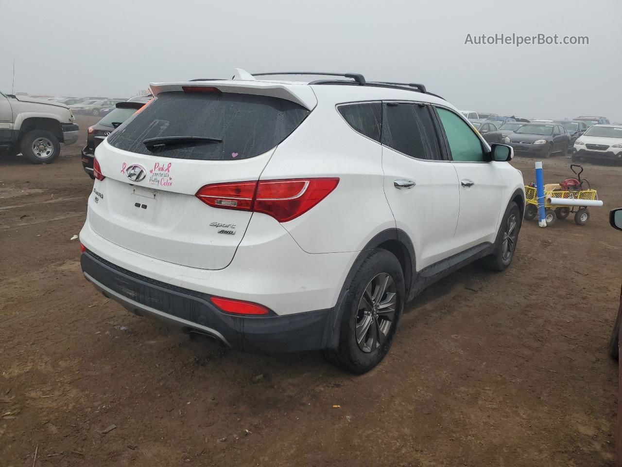 2014 Hyundai Santa Fe Sport  Белый vin: 5XYZUDLB1EG209300