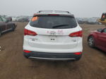 2014 Hyundai Santa Fe Sport  Белый vin: 5XYZUDLB1EG209300