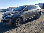 2013 Hyundai Santa Fe Sport  Желто-коричневый vin: 5XYZUDLB2DG093250