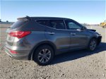 2013 Hyundai Santa Fe Sport  Желто-коричневый vin: 5XYZUDLB2DG093250