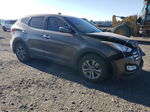 2013 Hyundai Santa Fe Sport  Желто-коричневый vin: 5XYZUDLB2DG093250