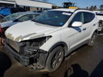 2013 Hyundai Santa Fe Sport  Белый vin: 5XYZUDLB3DG106152