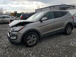 2013 Hyundai Santa Fe Sport  Серый vin: 5XYZUDLB3DG116857