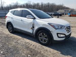 2014 Hyundai Santa Fe Sport  White vin: 5XYZUDLB3EG190345