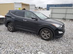 2013 Hyundai Santa Fe Sport  Черный vin: 5XYZUDLB4DG123641