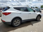 2014 Hyundai Santa Fe Sport  Белый vin: 5XYZUDLB4EG160285