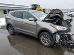 2014 Hyundai Santa Fe Sport  Серый vin: 5XYZUDLB4EG167916