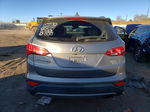 2014 Hyundai Santa Fe Sport  Gray vin: 5XYZUDLB5EG172008