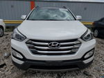 2014 Hyundai Santa Fe Sport  Белый vin: 5XYZUDLB5EG212054