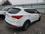 2013 Hyundai Santa Fe Sport  White vin: 5XYZUDLB6DG002657