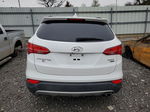 2013 Hyundai Santa Fe Sport  Белый vin: 5XYZUDLB6DG002657