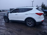 2013 Hyundai Santa Fe Sport  White vin: 5XYZUDLB6DG009043