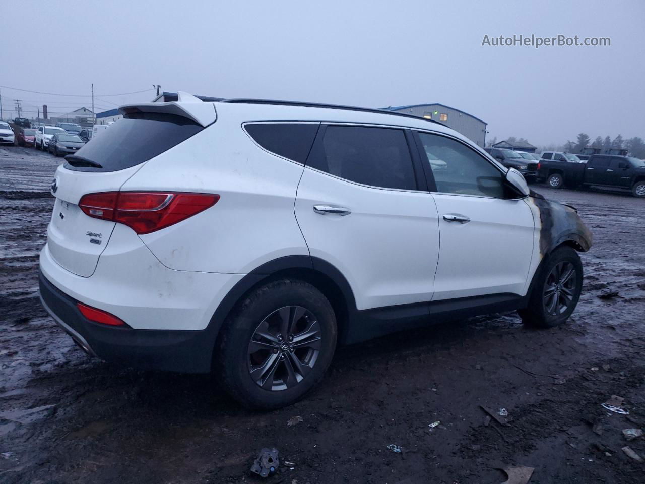 2013 Hyundai Santa Fe Sport  White vin: 5XYZUDLB6DG009043