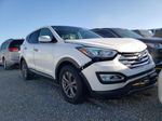 2013 Hyundai Santa Fe Sport  Белый vin: 5XYZUDLB7DG112178