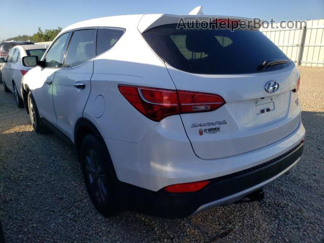 2013 Hyundai Santa Fe Sport  Белый vin: 5XYZUDLB7DG112178