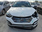 2013 Hyundai Santa Fe Sport  Белый vin: 5XYZUDLB7DG112178