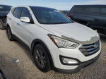 2013 Hyundai Santa Fe Sport  Белый vin: 5XYZUDLB8DG038737