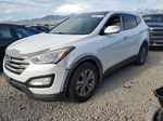 2013 Hyundai Santa Fe Sport  Белый vin: 5XYZUDLB8DG038737