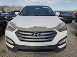 2013 Hyundai Santa Fe Sport  Белый vin: 5XYZUDLB8DG038737