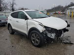 2013 Hyundai Santa Fe Sport  White vin: 5XYZUDLB8DG052220