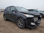 2014 Hyundai Santa Fe Sport  Черный vin: 5XYZUDLB9EG229956