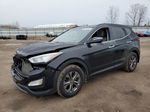 2014 Hyundai Santa Fe Sport  Черный vin: 5XYZUDLB9EG229956