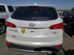 2013 Hyundai Santa Fe Sport  Белый vin: 5XYZUDLBXDG055880