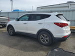 2015 Hyundai Santa Fe Sport  White vin: 5XYZUDLBXFG258819