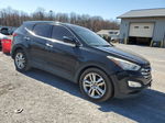 2013 Hyundai Santa Fe Sport  Черный vin: 5XYZW3LA2DG024974