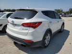 2013 Hyundai Santa Fe Sport  White vin: 5XYZW3LA5DG037654