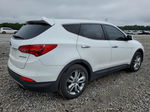 2013 Hyundai Santa Fe Sport  White vin: 5XYZW3LA5DG051392