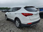 2013 Hyundai Santa Fe Sport  White vin: 5XYZW3LA5DG051392