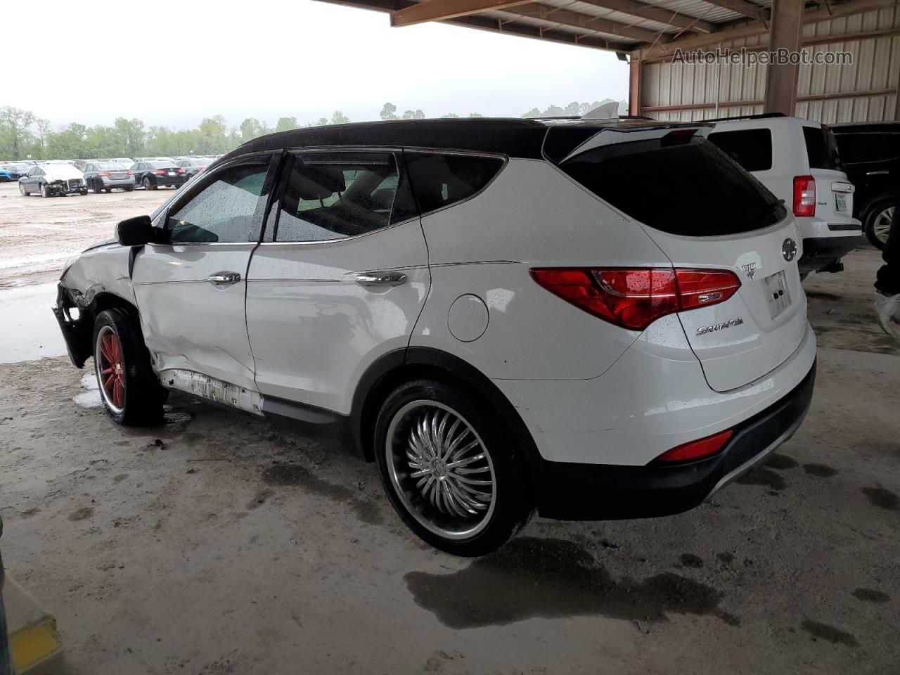 2014 Hyundai Santa Fe Sport  Белый vin: 5XYZW3LA5EG230548