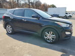 2013 Hyundai Santa Fe Sport  Black vin: 5XYZW3LA8DG004695