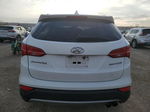 2014 Hyundai Santa Fe Sport  White vin: 5XYZW3LA8EG165548