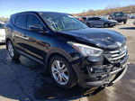 2013 Hyundai Santa Fe Sport  Черный vin: 5XYZWDLA0DG025479