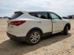 2013 Hyundai Santa Fe Sport  White vin: 5XYZWDLA0DG067635