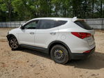 2013 Hyundai Santa Fe Sport  Белый vin: 5XYZWDLA0DG067635