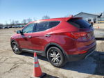 2013 Hyundai Santa Fe Sport  Красный vin: 5XYZWDLA3DG064857