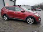 2013 Hyundai Santa Fe Sport  Бордовый vin: 5XYZWDLA4DG060381