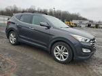 2015 Hyundai Santa Fe Sport  Серый vin: 5XYZWDLA4FG292756