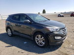 2013 Hyundai Santa Fe Sport  Серый vin: 5XYZWDLA6DG027236