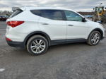 2013 Hyundai Santa Fe Sport  White vin: 5XYZWDLA6DG042190