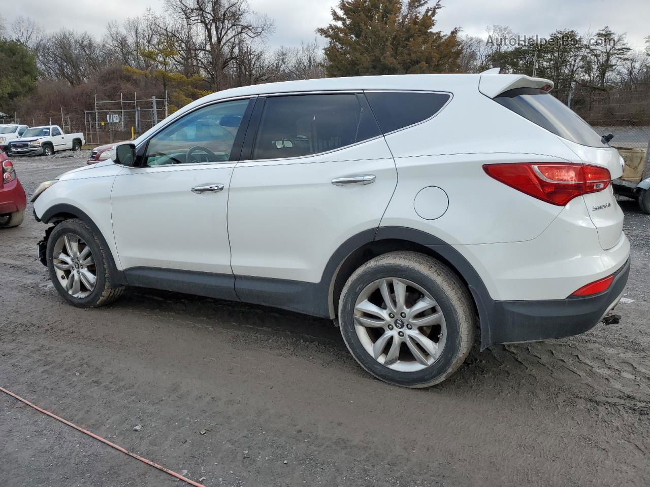 2013 Hyundai Santa Fe Sport  White vin: 5XYZWDLA6DG042190