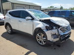 2014 Hyundai Santa Fe Sport  White vin: 5XYZWDLA6EG210363