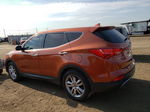 2013 Hyundai Santa Fe Sport  Оранжевый vin: 5XYZWDLA8DG045673