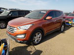 2013 Hyundai Santa Fe Sport  Оранжевый vin: 5XYZWDLA8DG045673